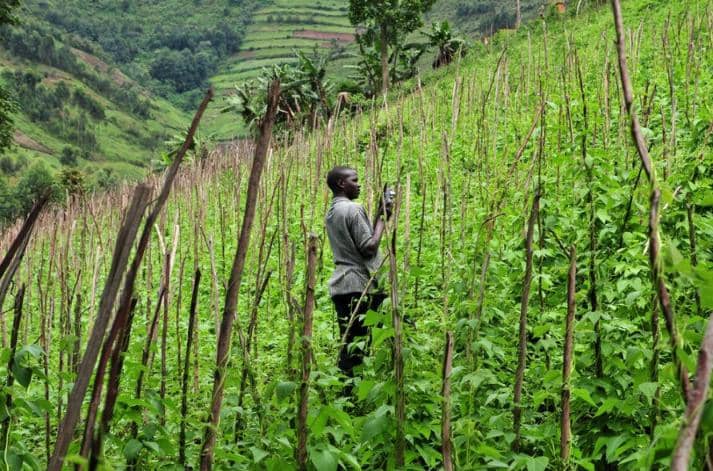 Réunion De Lusaka/Avenir Agricole Du Continent : L&rsquo;Afrique À La Croisée Des Chemins