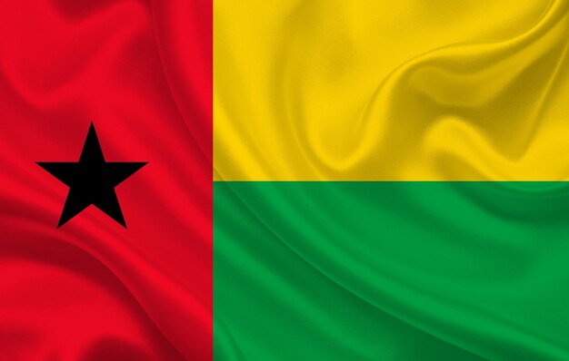 Guinée-Bissau : Un Avion Avec Plus De Deux Tonnes De Drogue Saisi