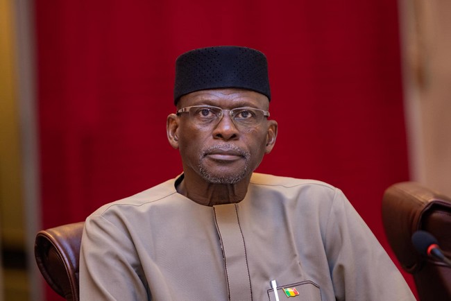 Journée Mondiale Du Coton : Forte Impression Du Ministre Malien Moussa Alassane Diallo À Cotonou