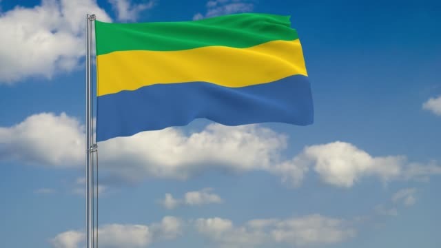 Gabon/Référendum : Entre Un Général, Le Vert, Le Rouge Et Les Autres