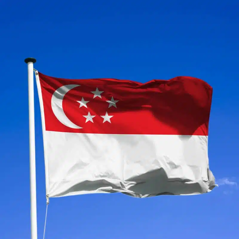 Économie/Fonds souverain: Singapour, un exemple pour l’Afrique ?