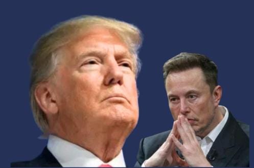 USA: Qu'il Est Beau De Voir Et D'entendre Trump «L'ingrat» Et Elon Musk « Le fou».