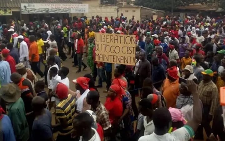 Togo: Wapo, Critiques D'une Faîtière Sous-régionale Contre Le Régime De Faure Gnassingbé