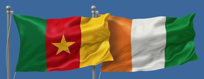 Côte d'Ivoire/Cameroun : Partis D'opposition à La Veille De La Présidentielle. (Trouver Impérativement Les Moyens)